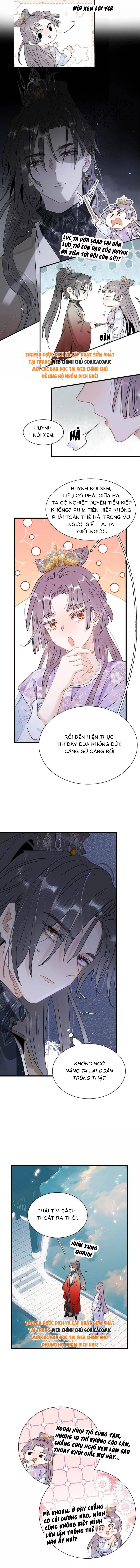 Chapter 23