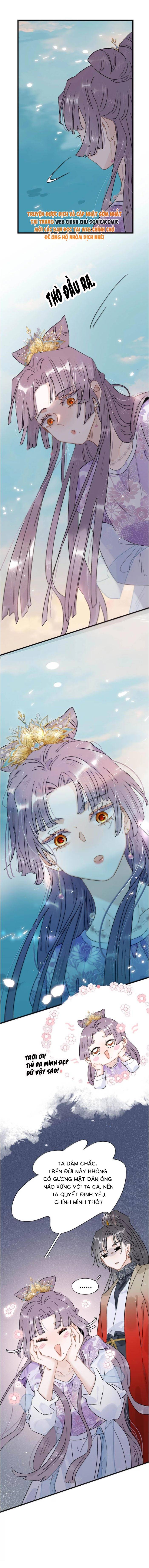 Chapter 23