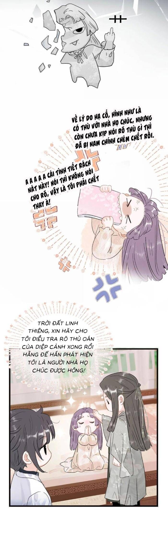 Chapter 25