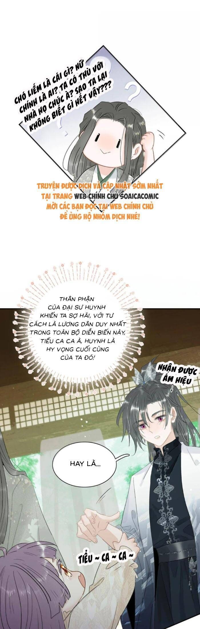 Chapter 25