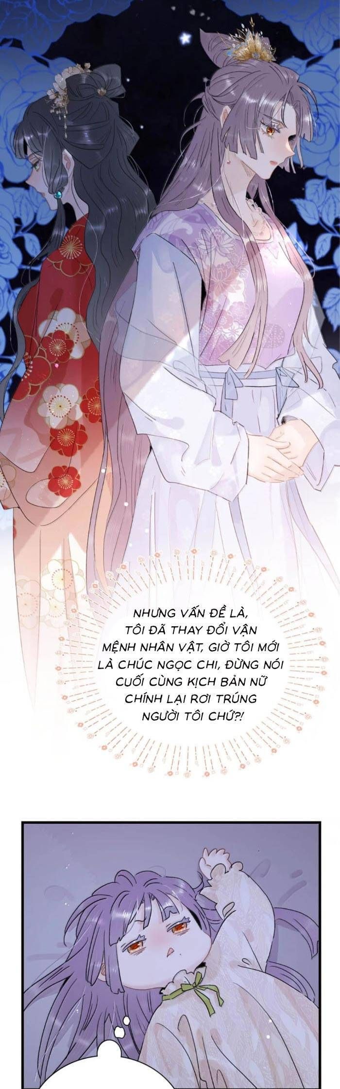 Chapter 26