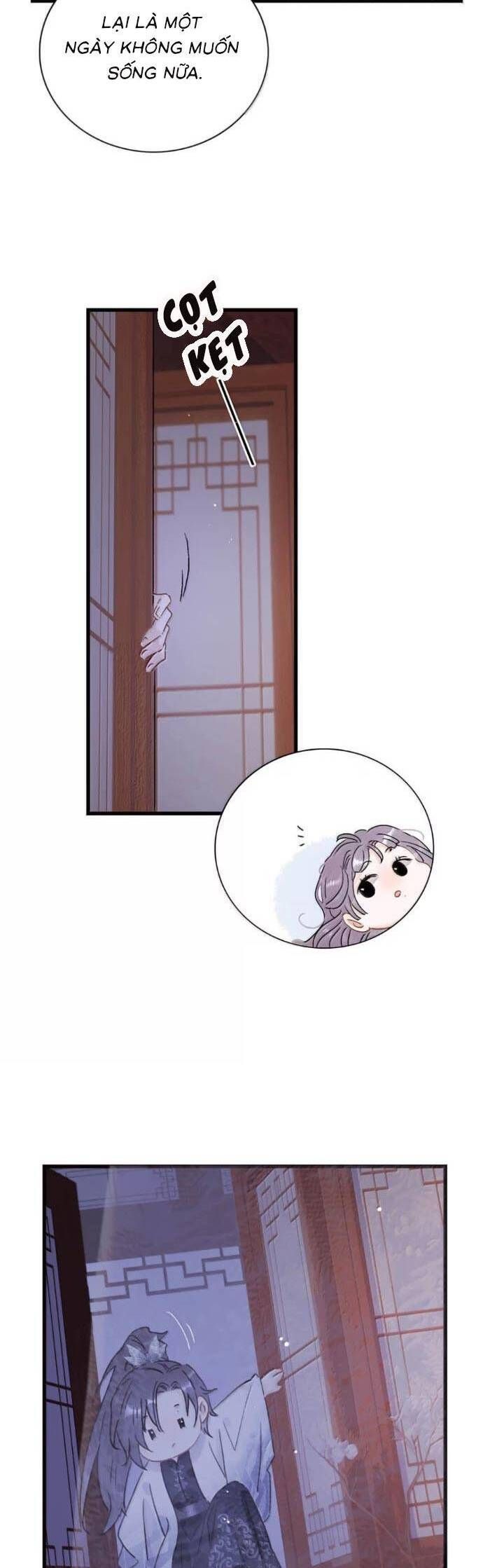 Chapter 26