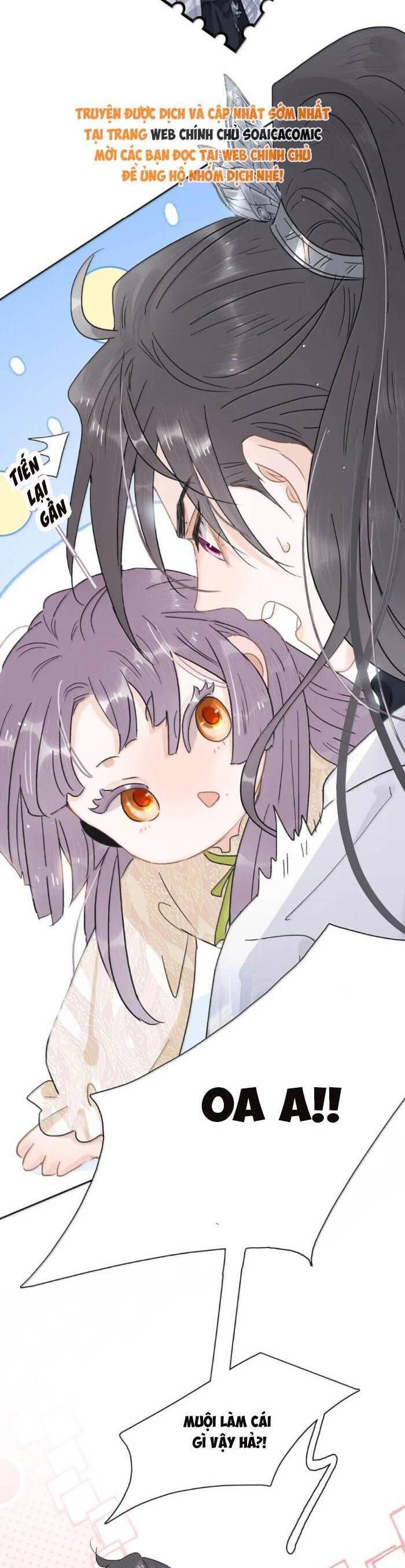 Chapter 26