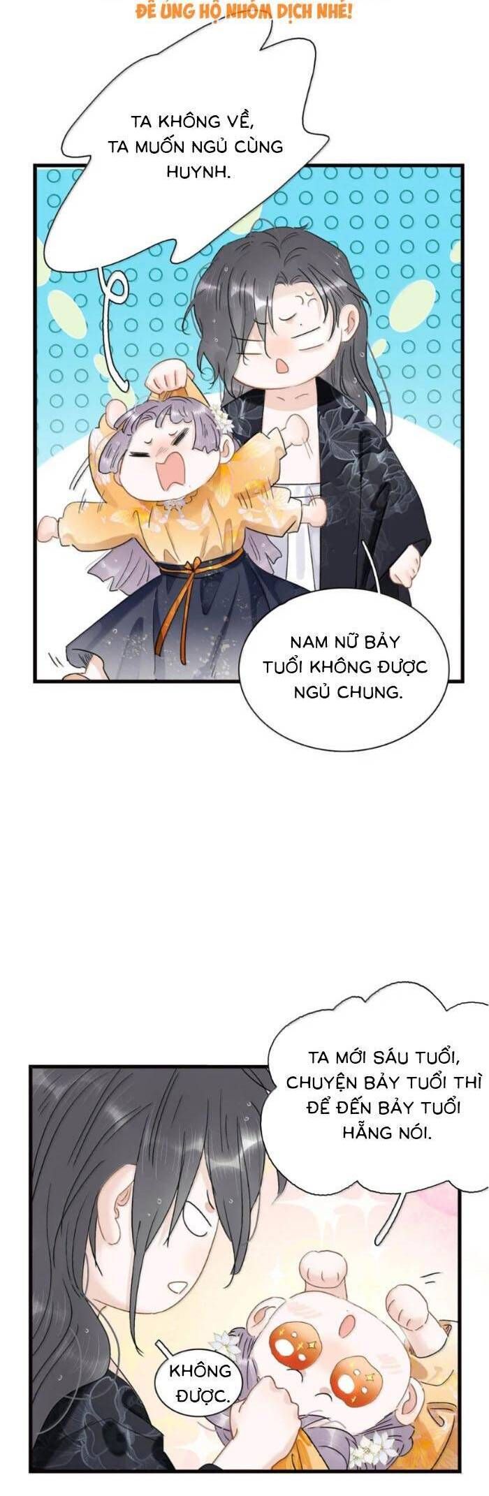 Chapter 28