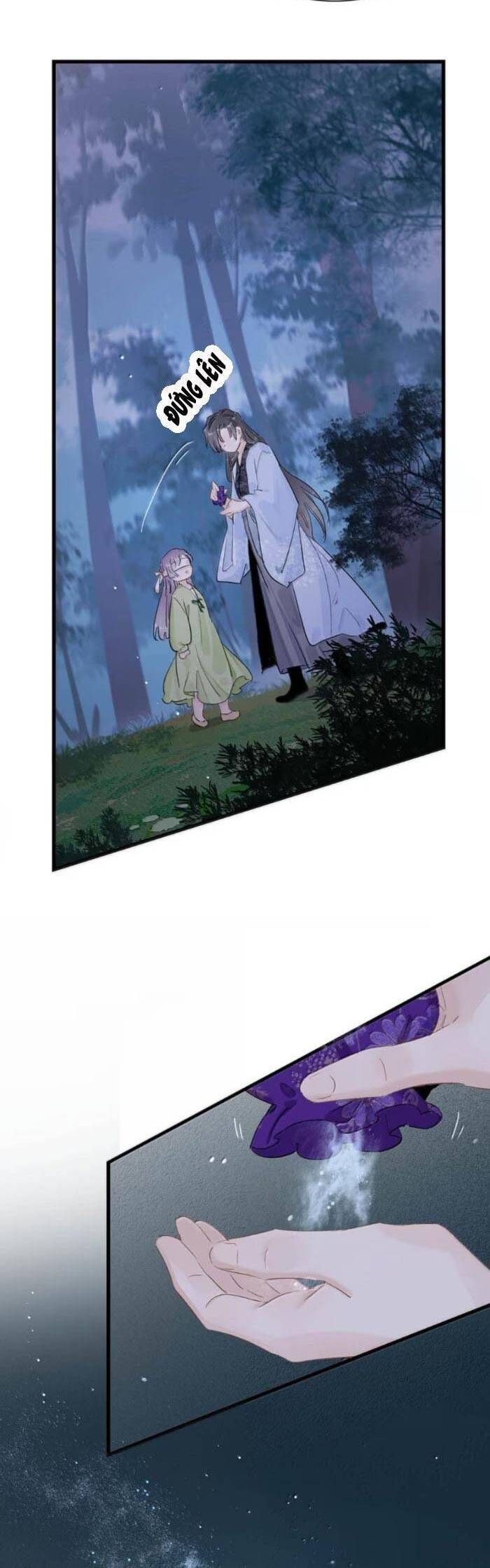 Chapter 31