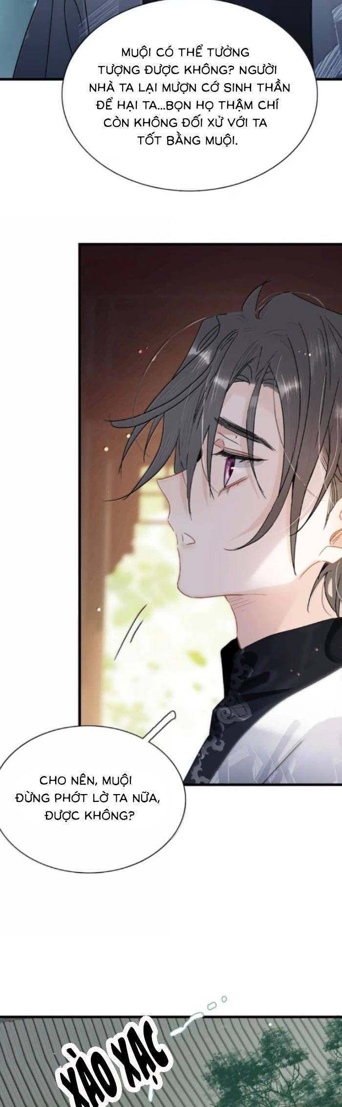 Chapter 33