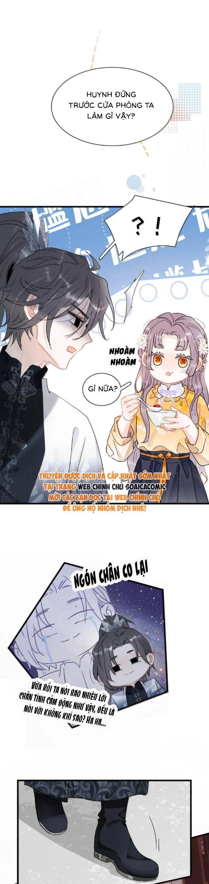 Chapter 33