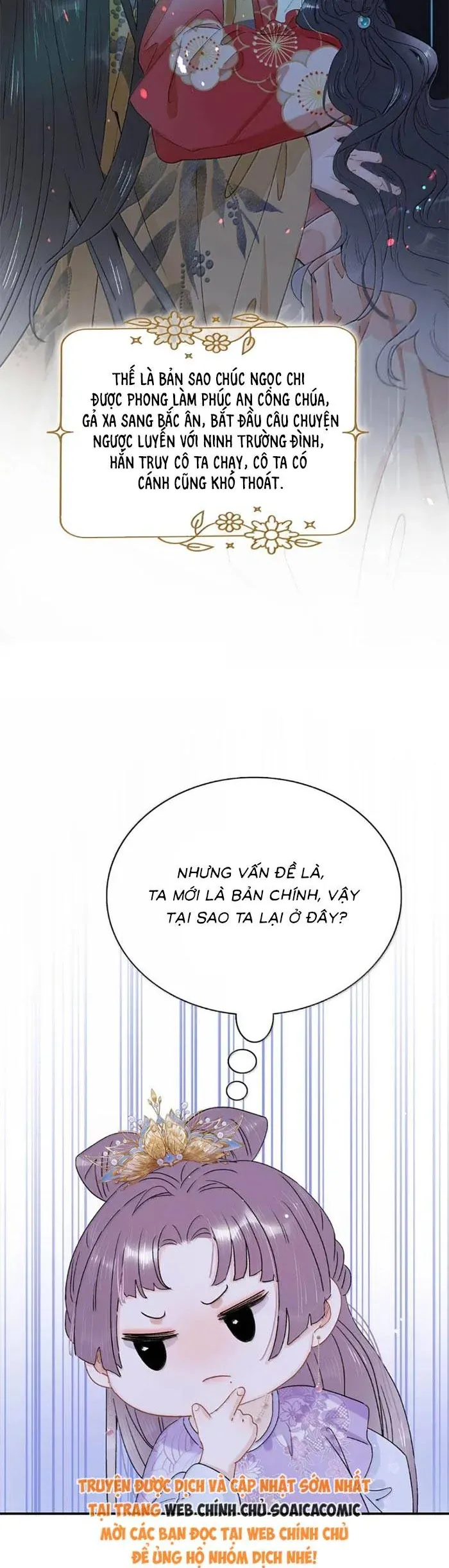 Chapter 41