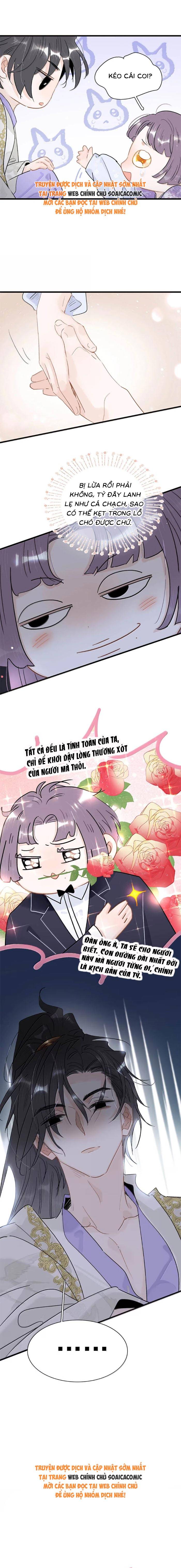 Chapter 46