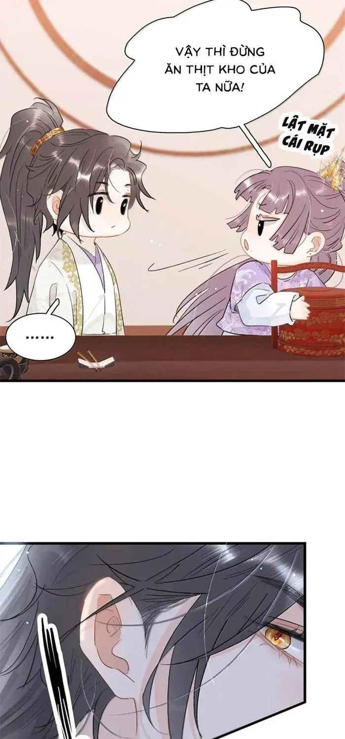 Chapter 48