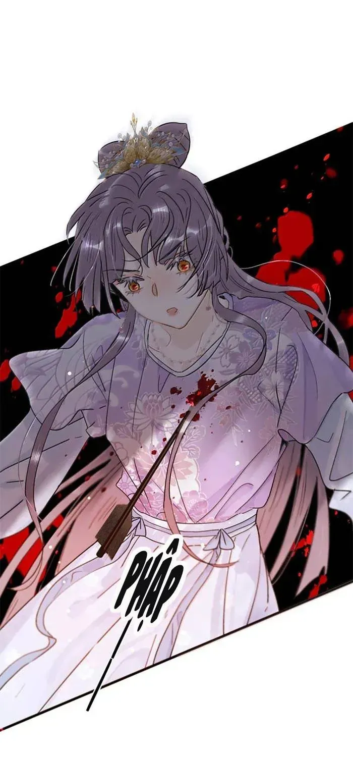 Chapter 48