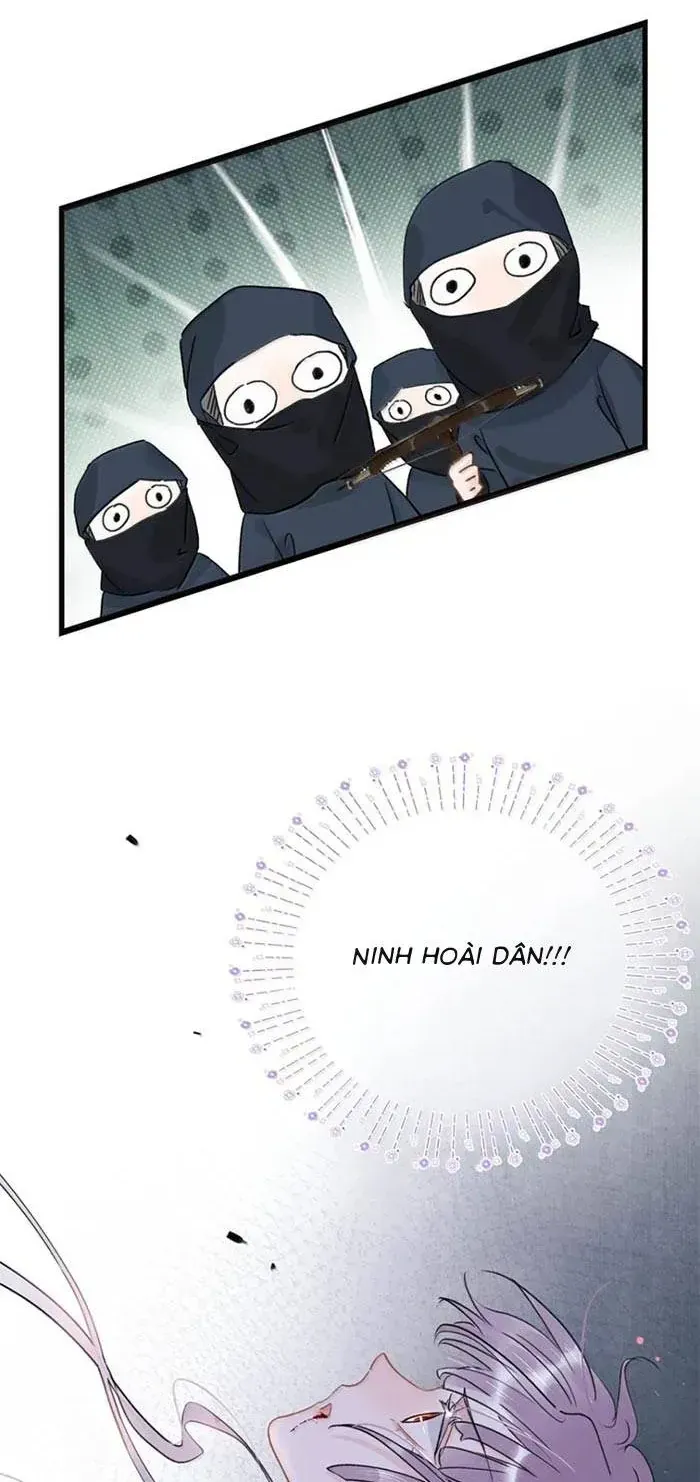 Chapter 48