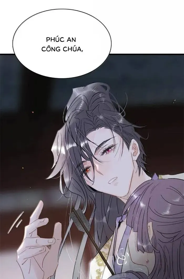 Chapter 48