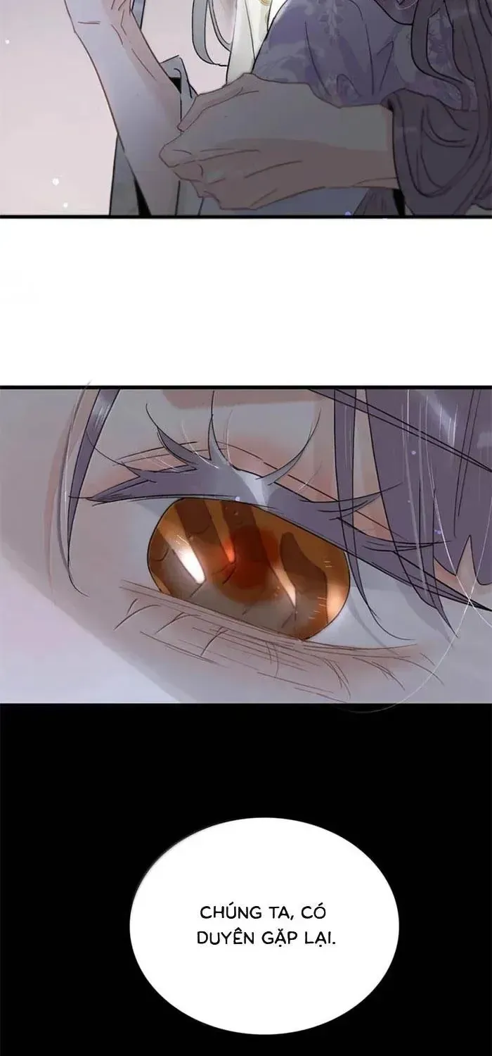 Chapter 48