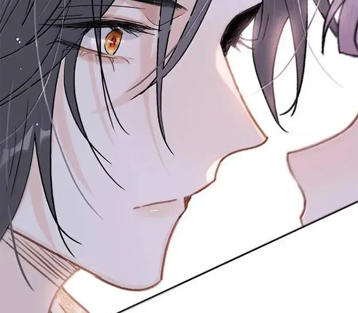 Chapter 48