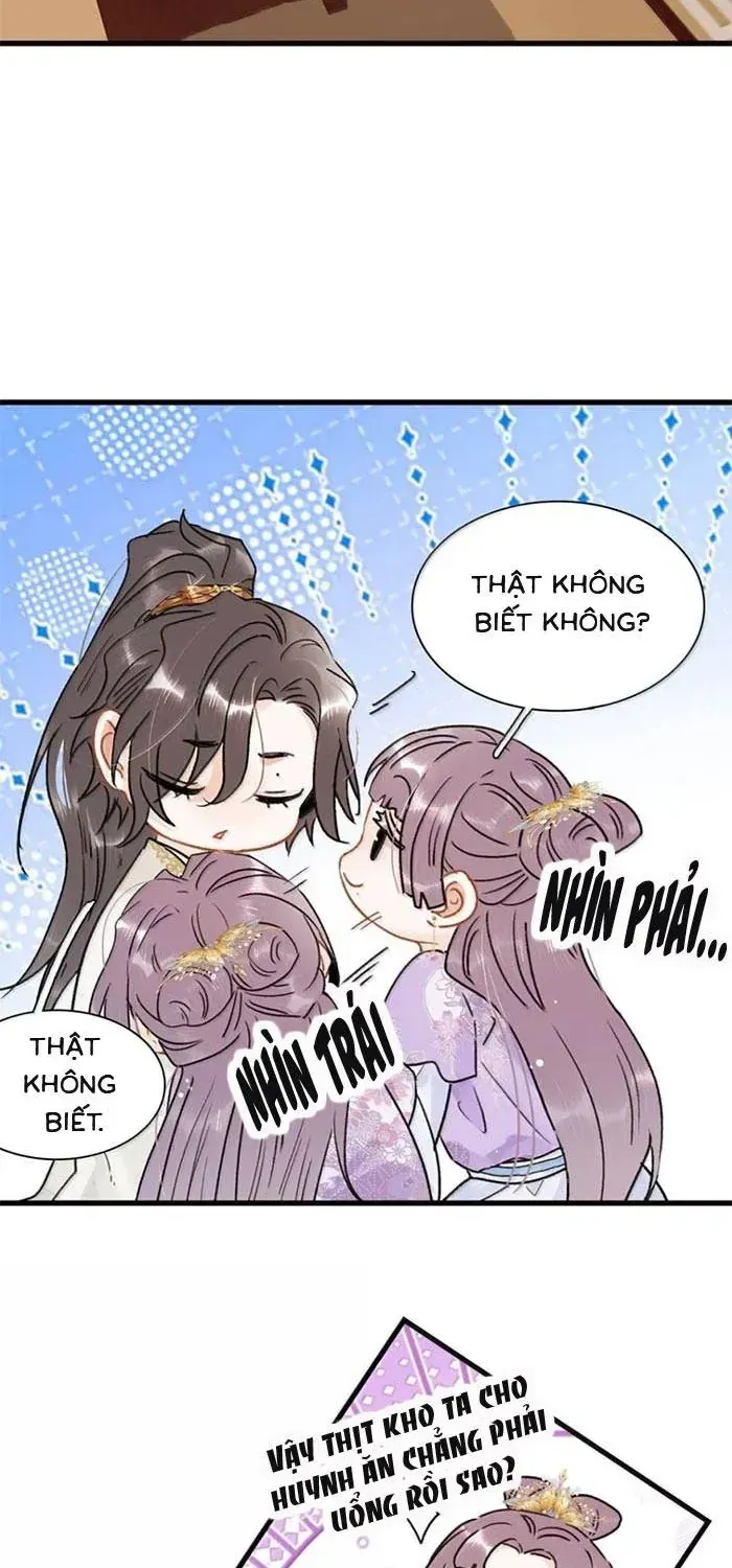 Chapter 48