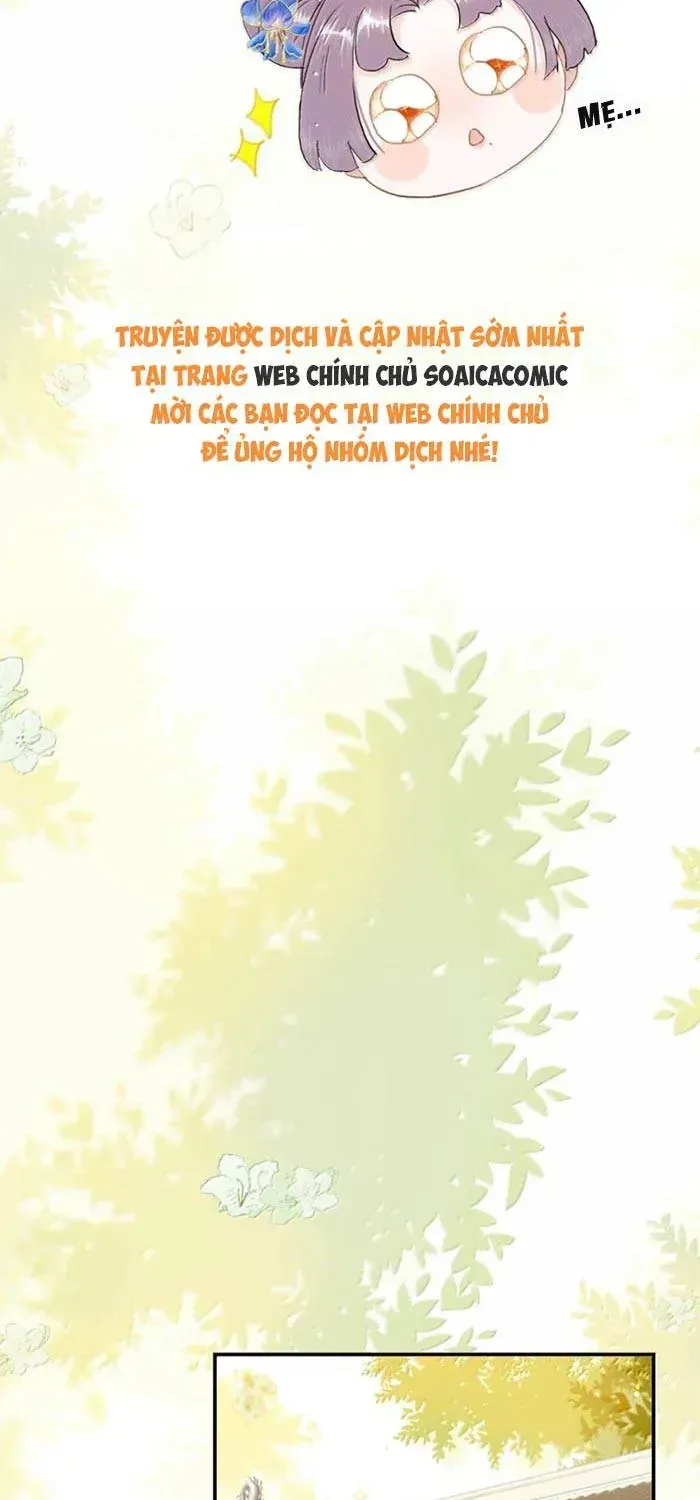 Chapter 49