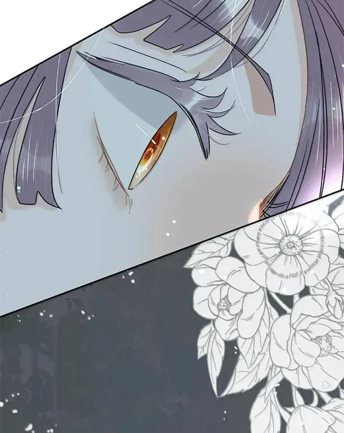 Chapter 49
