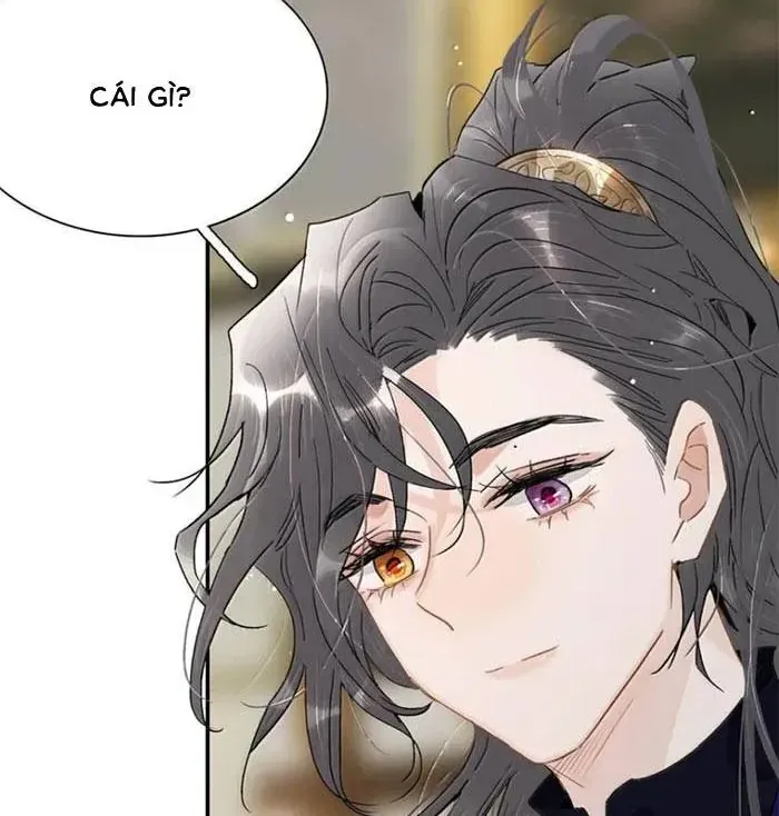 Chapter 50