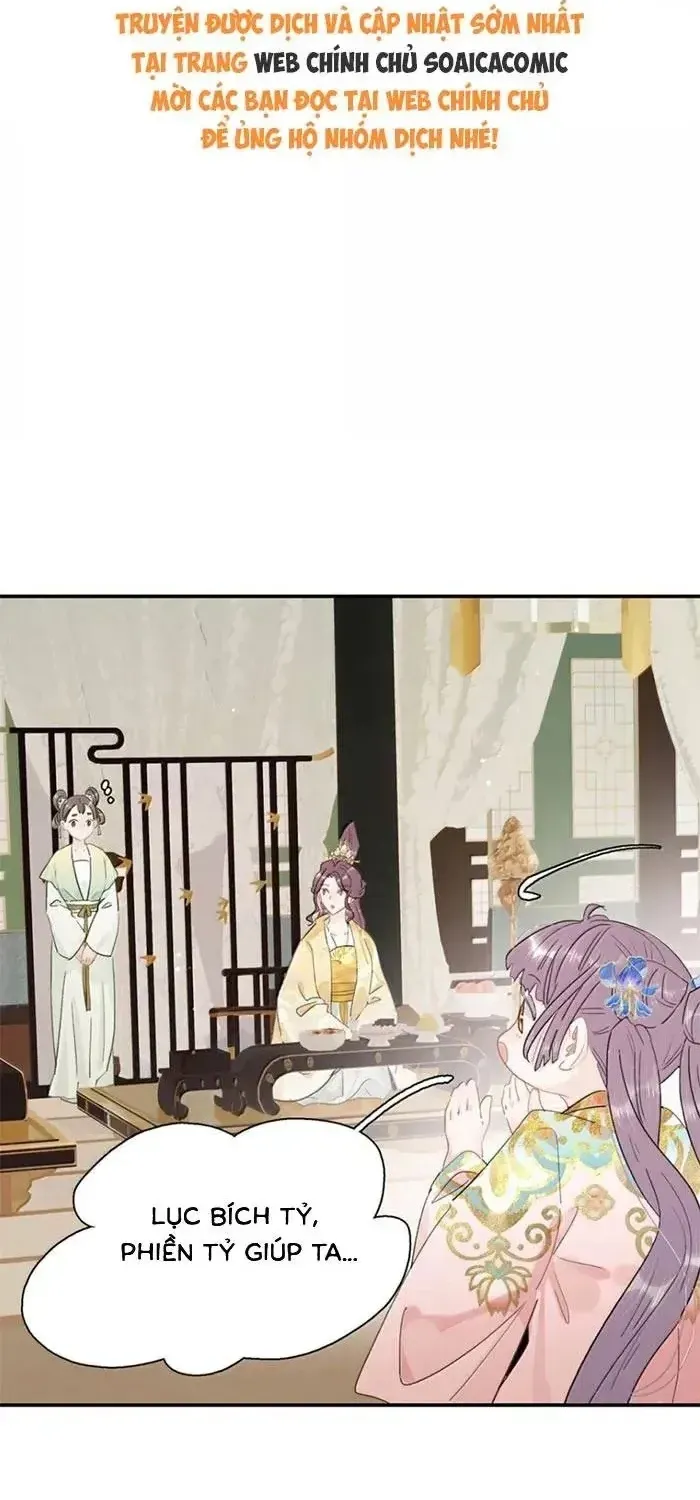 Chapter 51