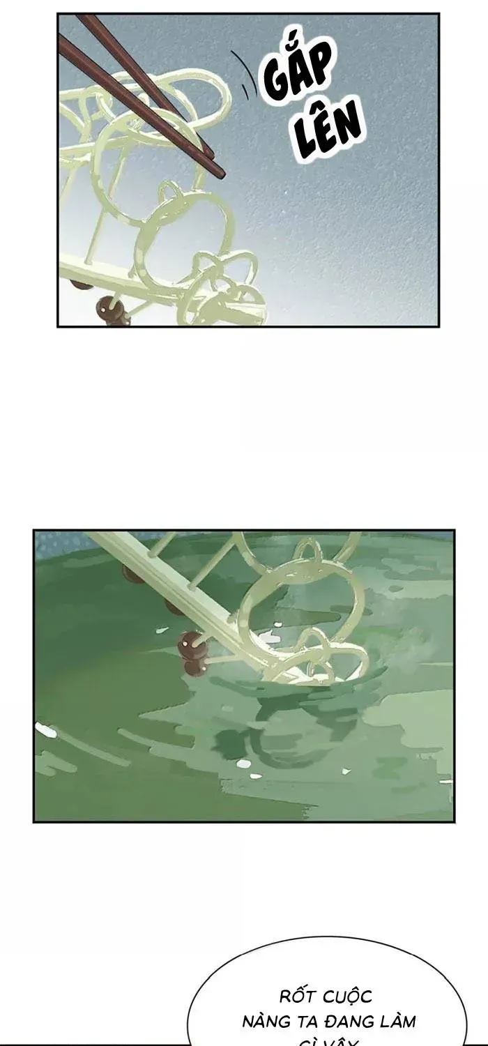 Chapter 51