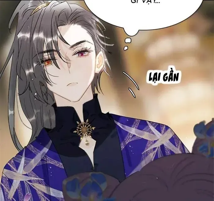 Chapter 51