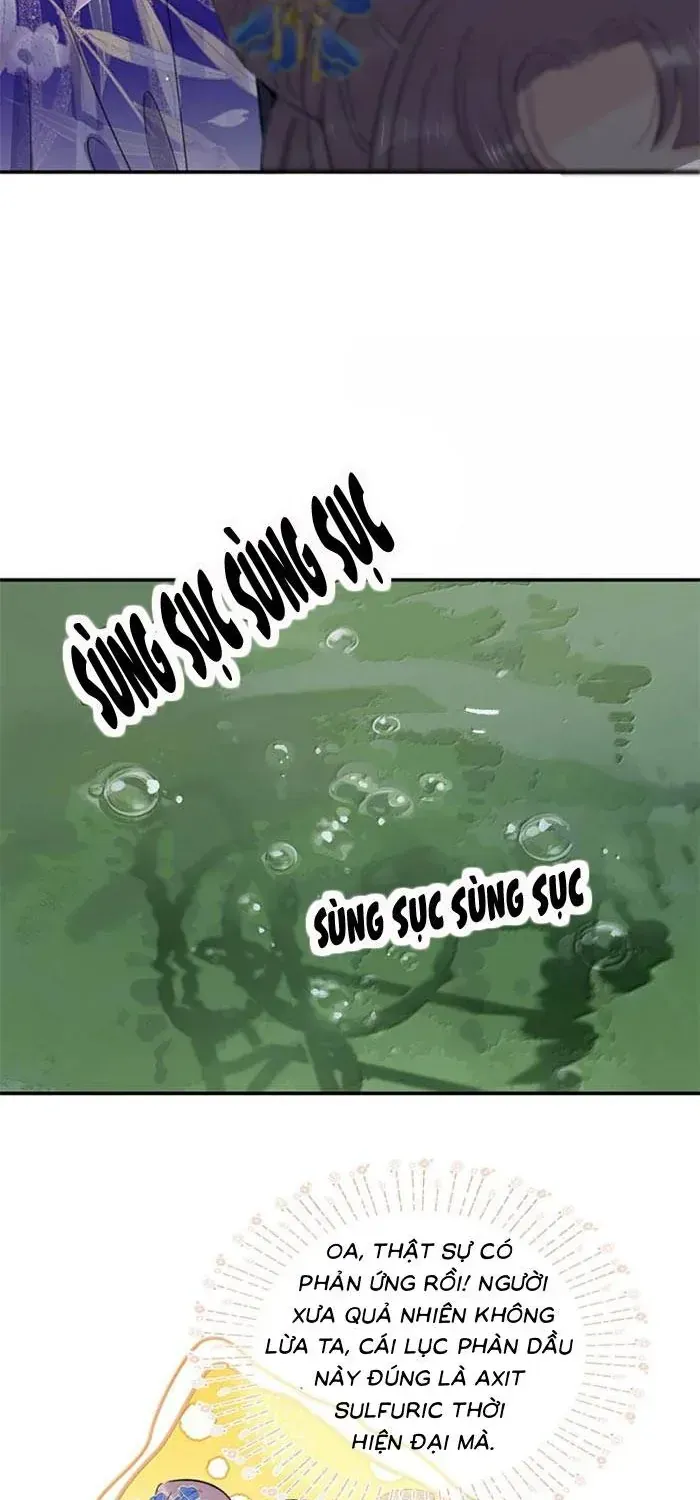 Chapter 51