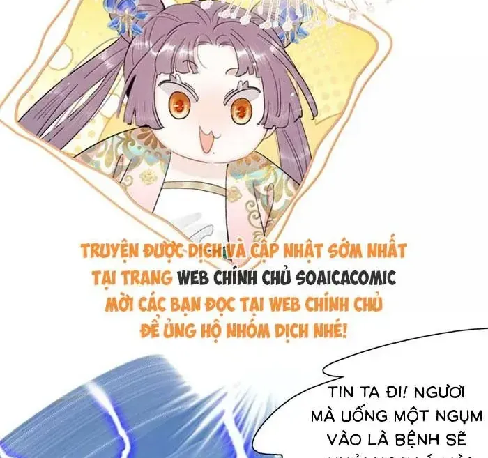 Chapter 51