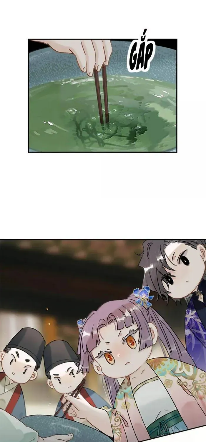Chapter 51