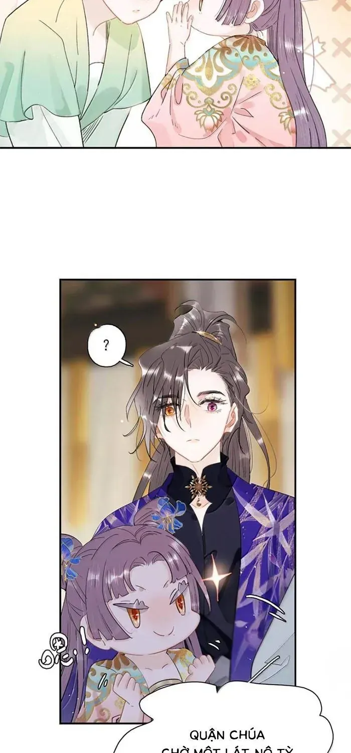 Chapter 51