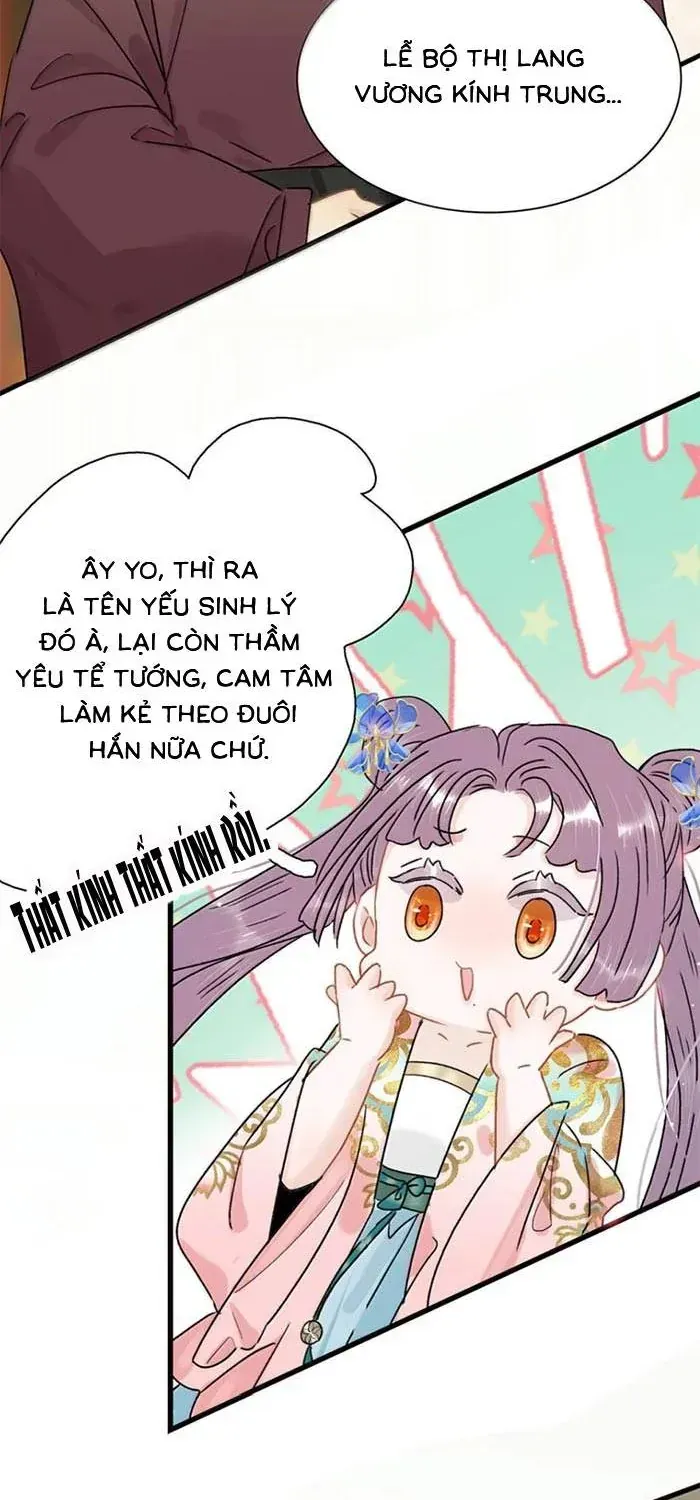 Chapter 52