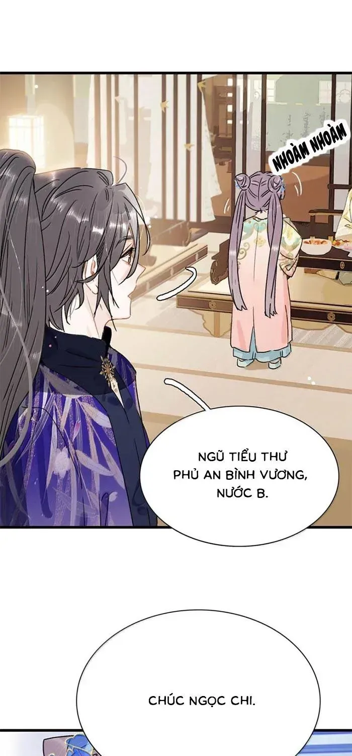 Chapter 52