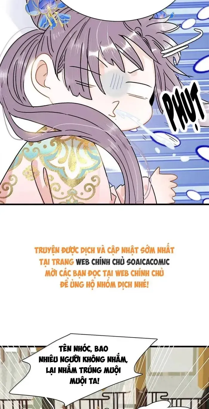Chapter 52