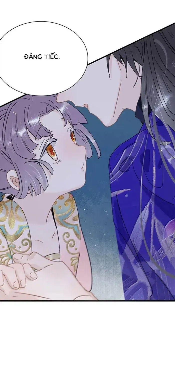 Chapter 53