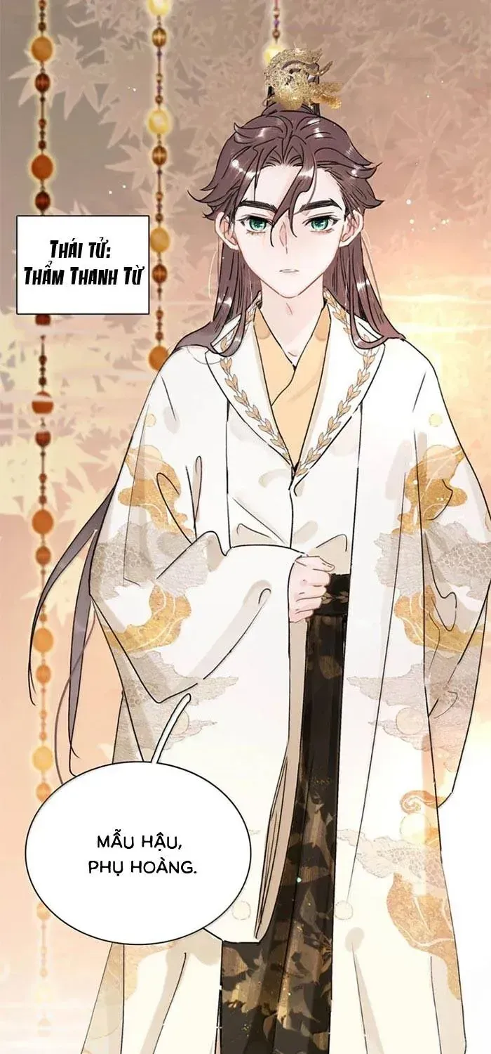Chapter 53