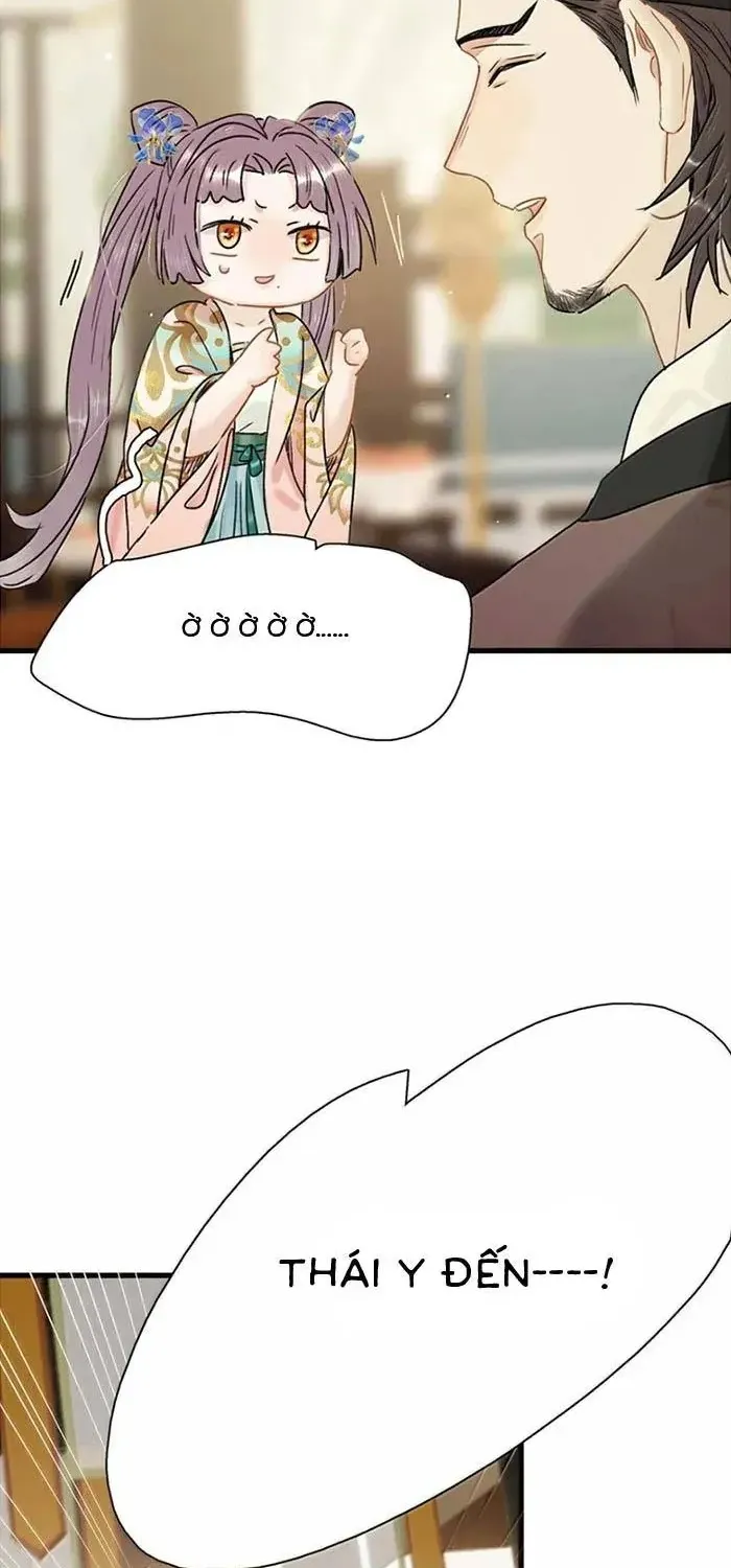 Chapter 55