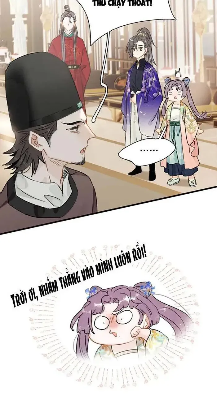 Chapter 55