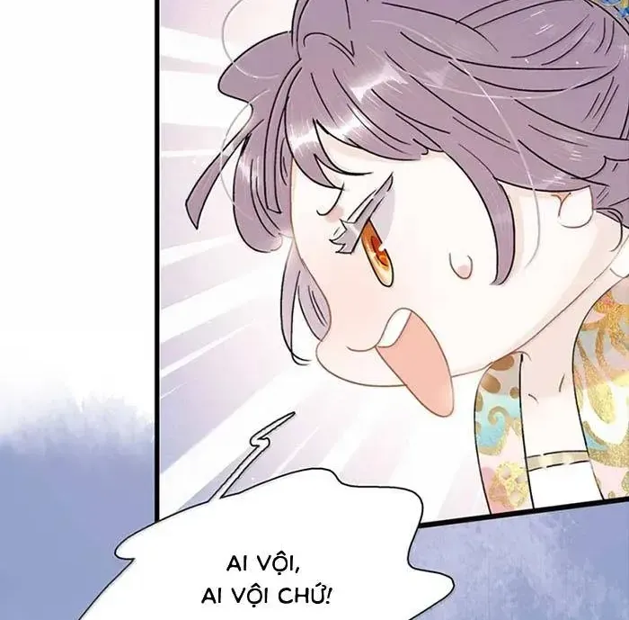 Chapter 55
