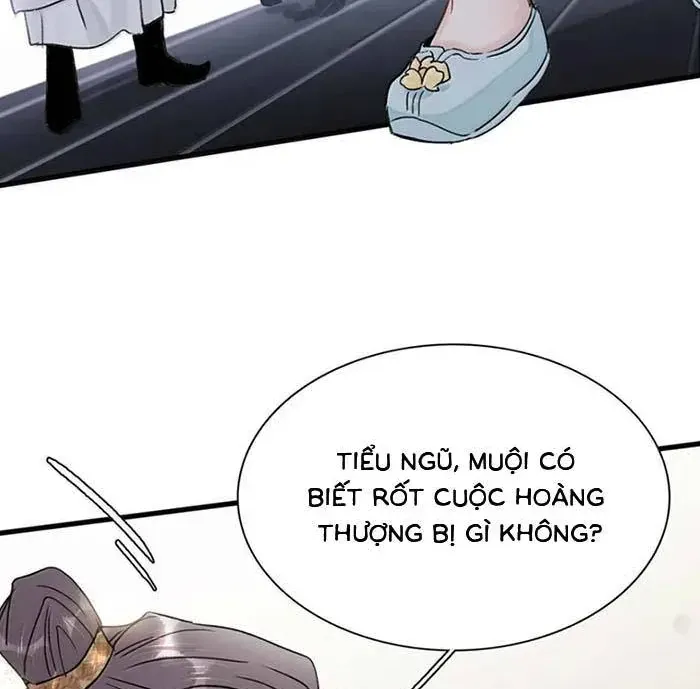 Chapter 55