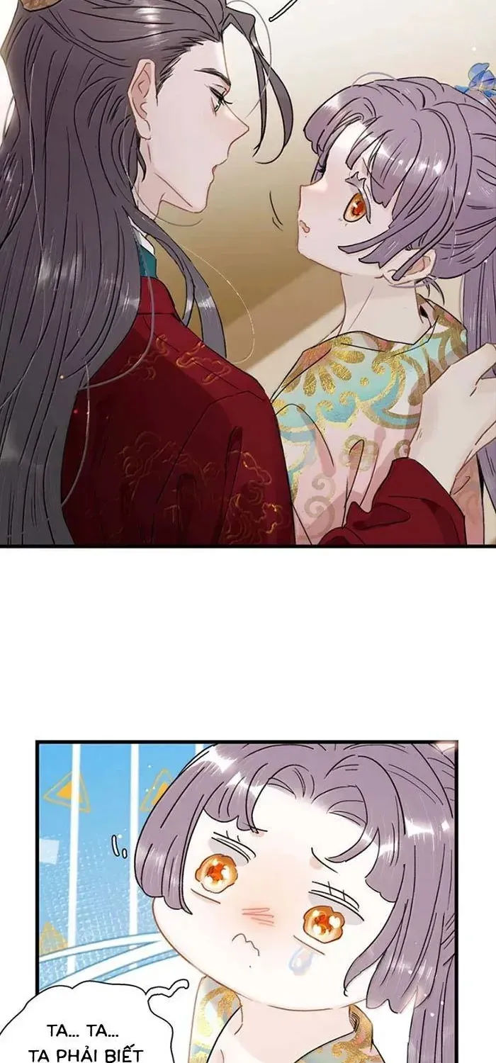 Chapter 55