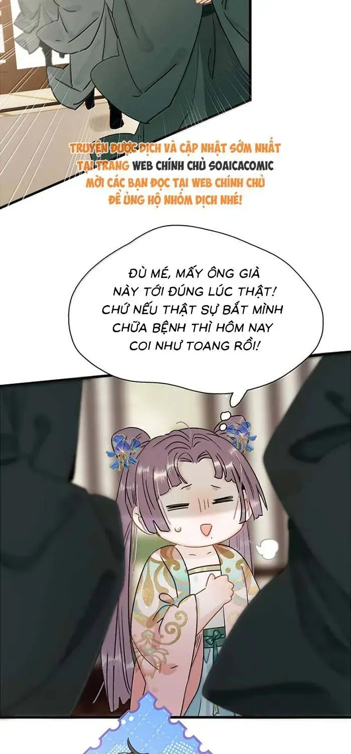 Chapter 55