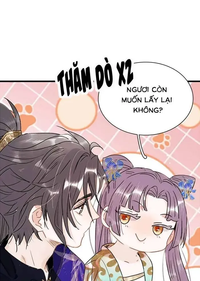 Chapter 55