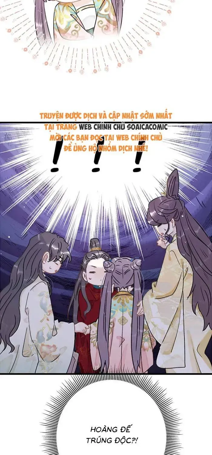 Chapter 56