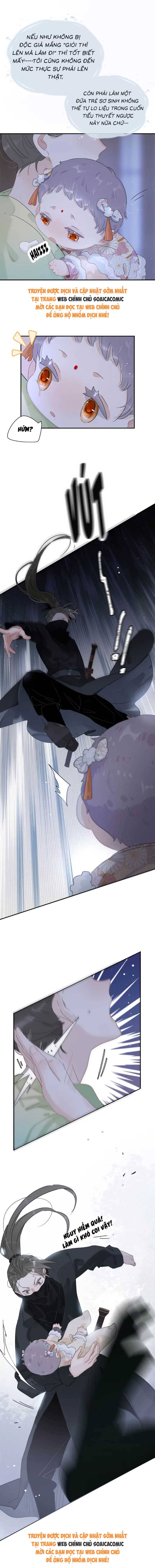 Chapter 10