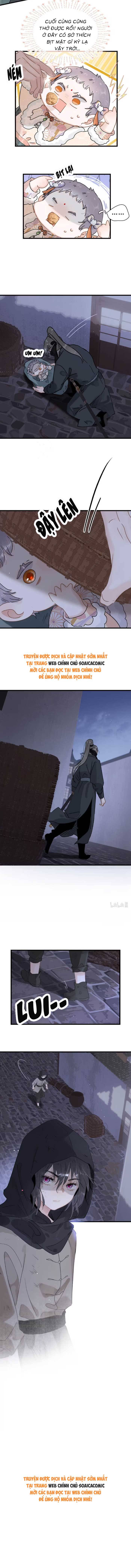 Chapter 10