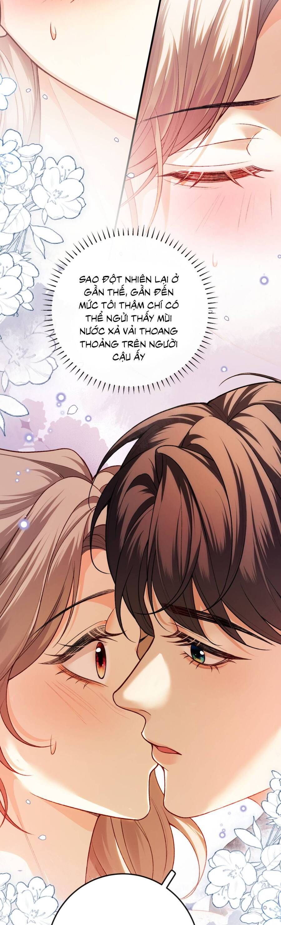 Chapter 15