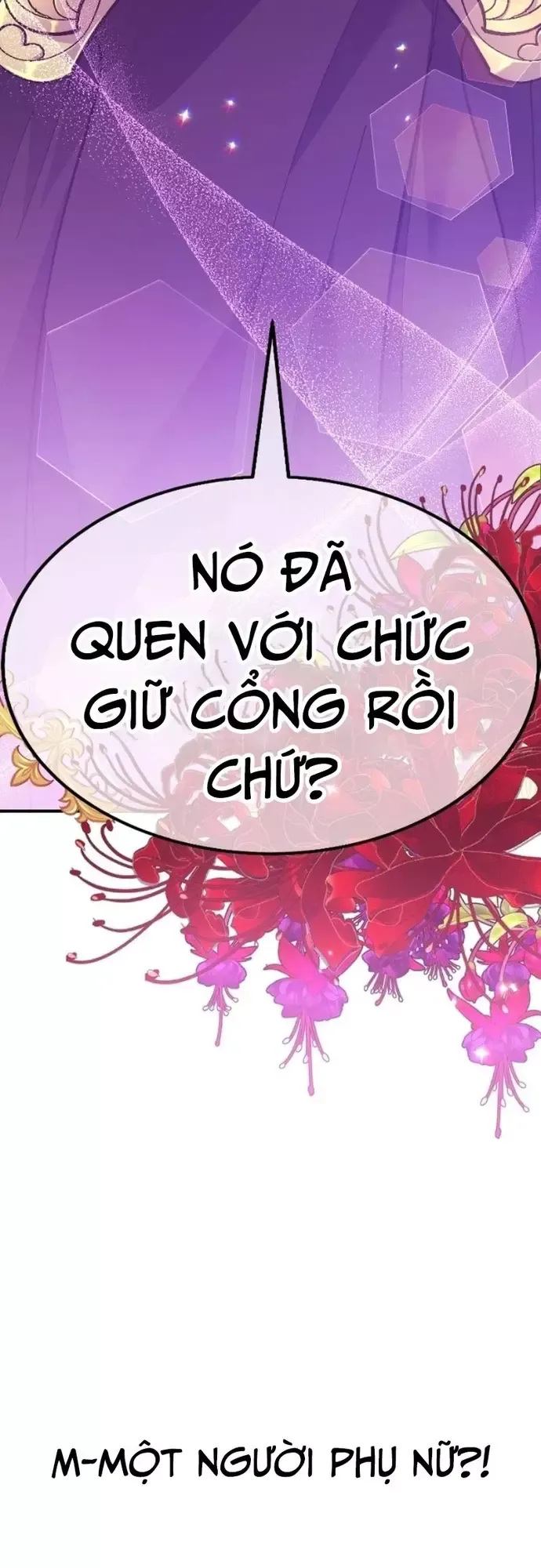 Chapter 19
