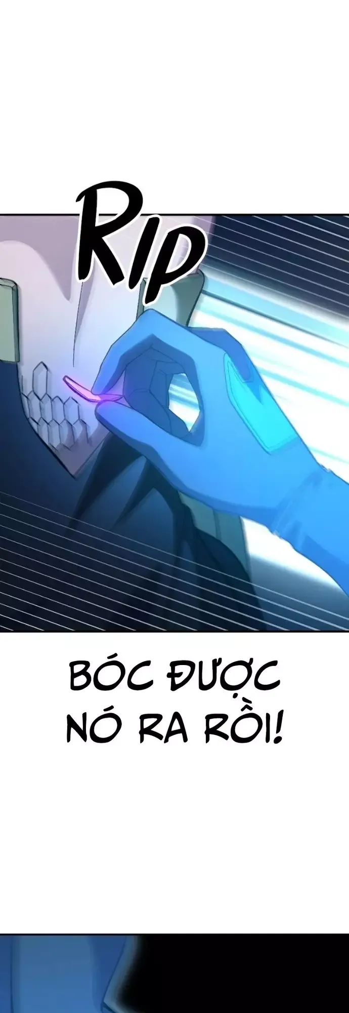Chapter 19