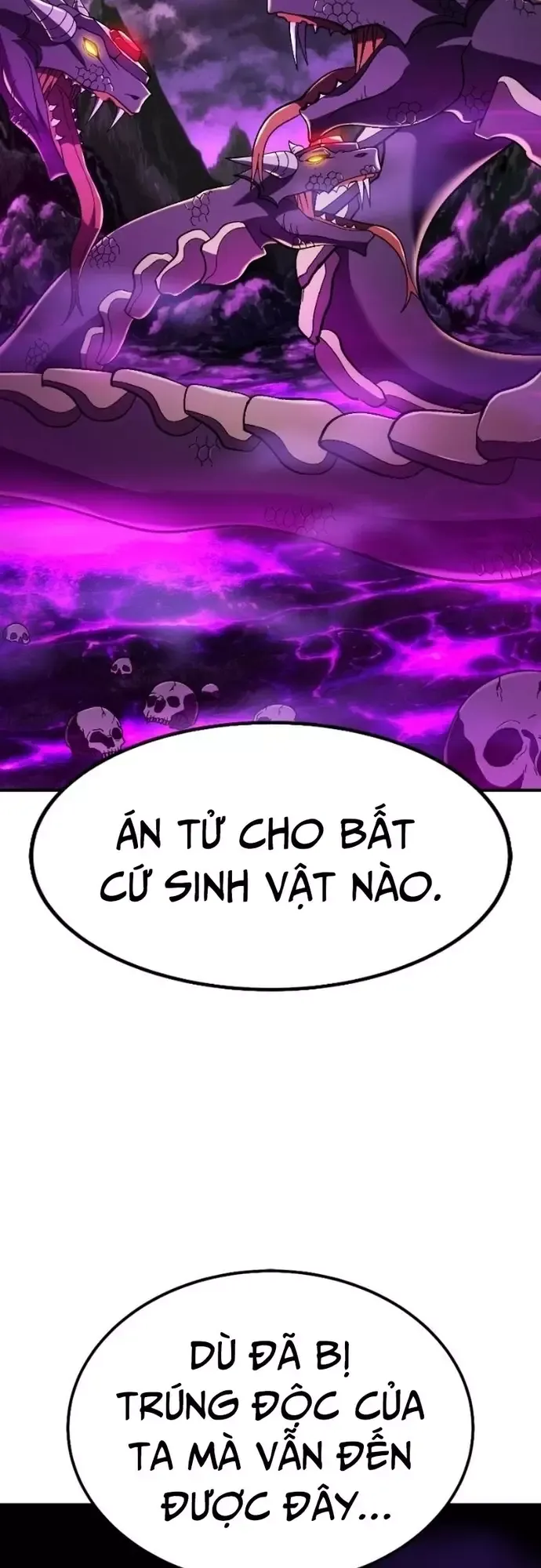 Chapter 20