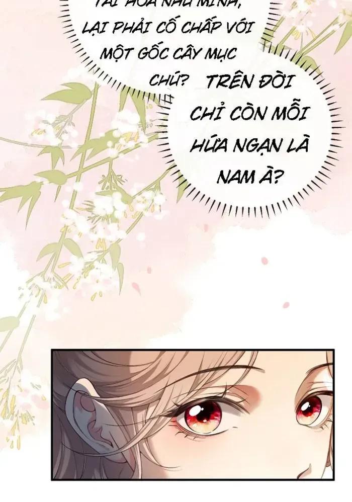 Chapter 29